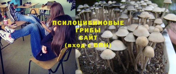 твердый Алексеевка
