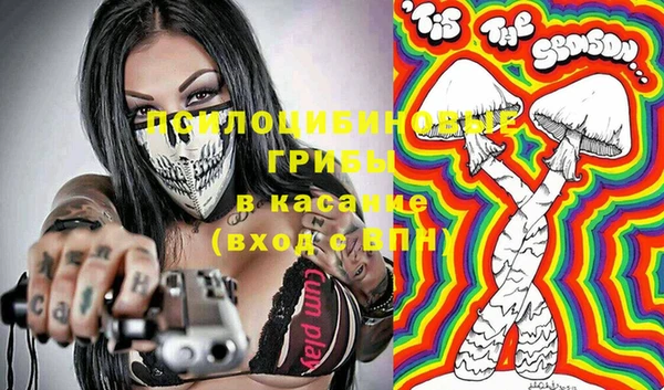 дурь Алзамай