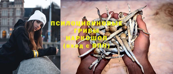 твердый Алексеевка