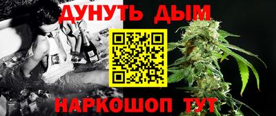 гидра Кингисепп