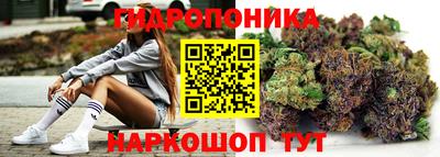 тгк Кандалакша