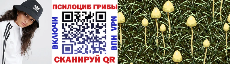 Галлюциногенные грибы ЛСД  omg ТОР  Лесной 
