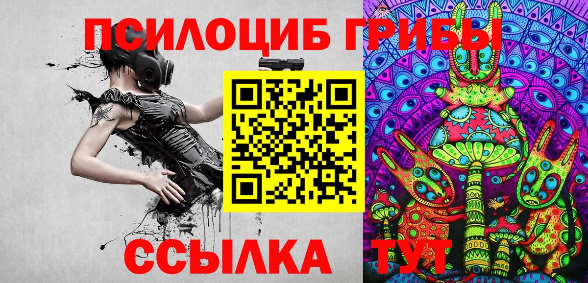 Галлюциногенные грибы Psilocybine cubensis  Галлюциногенные грибы MAGIC MUSHROOMS  Лесной  Вход с VPN 