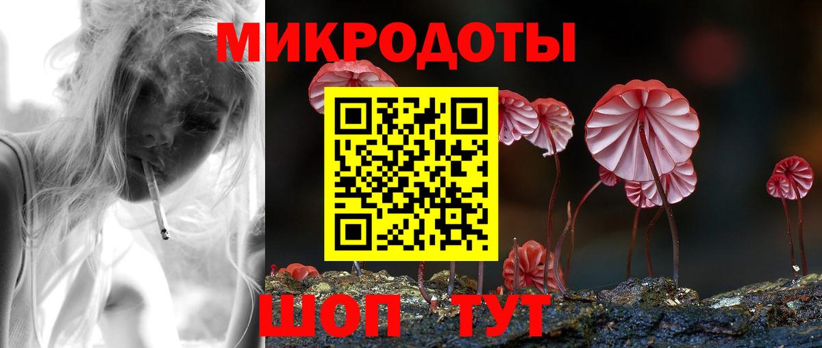 Галлюциногенные грибы Psilocybe Лесной